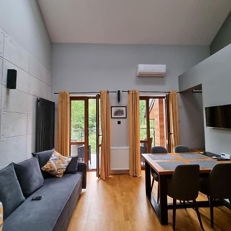 Apartament Dwupoziomowy Z Klimatyzacja Apartment Krynica Zdroj Bagian luar foto