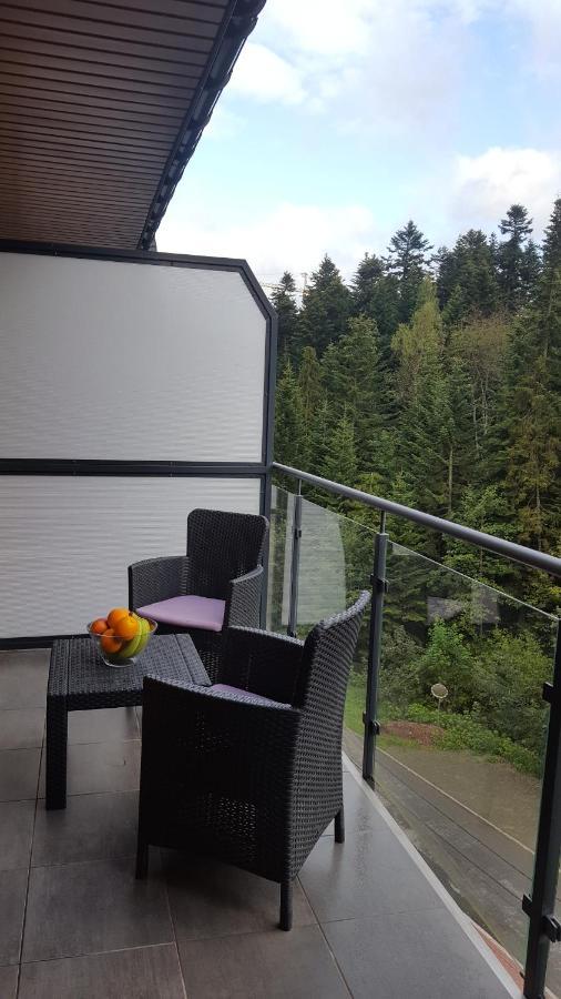 Apartament Dwupoziomowy Z Klimatyzacja Apartment Krynica Zdroj Bagian luar foto