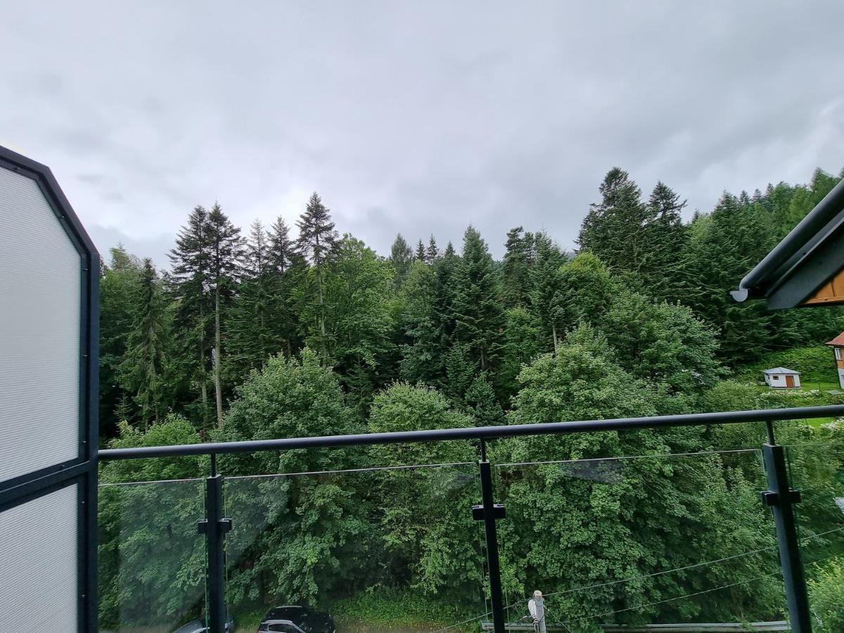 Apartament Dwupoziomowy Z Klimatyzacja Apartment Krynica Zdroj Bagian luar foto